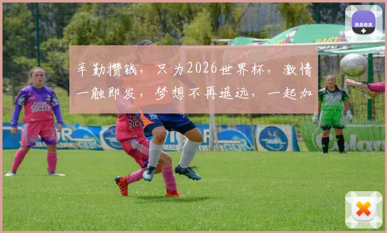 辛勤攒钱，只为2026世界杯，激情一触即发，梦想不再遥远，一起加油