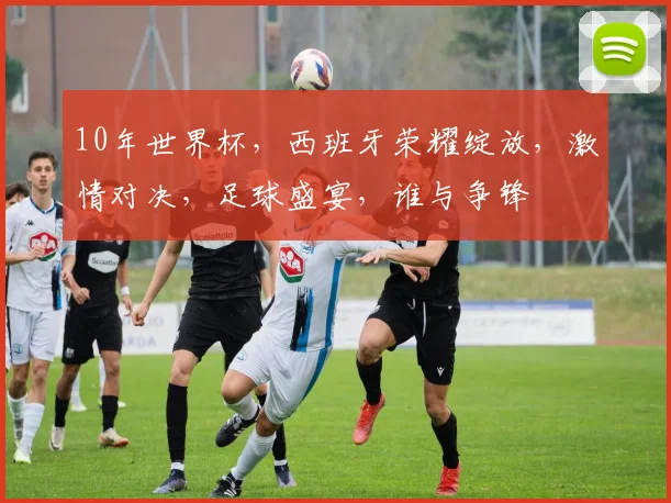 10年世界杯，西班牙荣耀绽放，激情对决，足球盛宴，谁与争锋