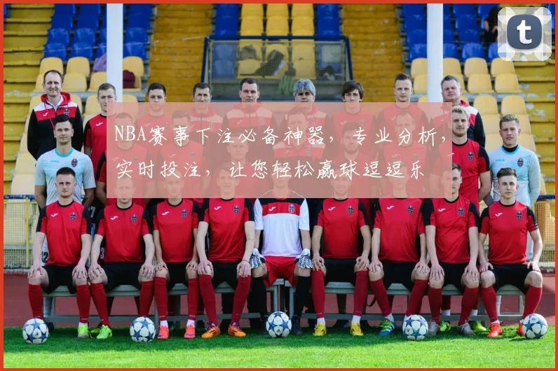 NBA赛事下注必备神器，专业分析，实时投注，让您轻松赢球逗逗乐