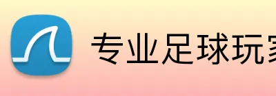 专业足球玩家投注网站 logo